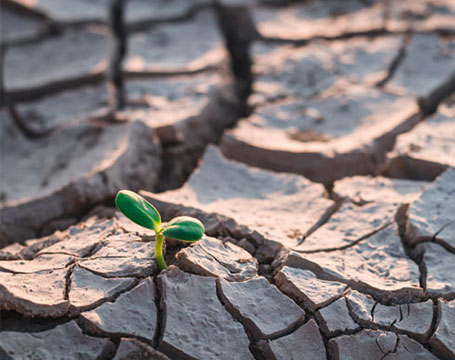 CambioClimaticoCompromisos