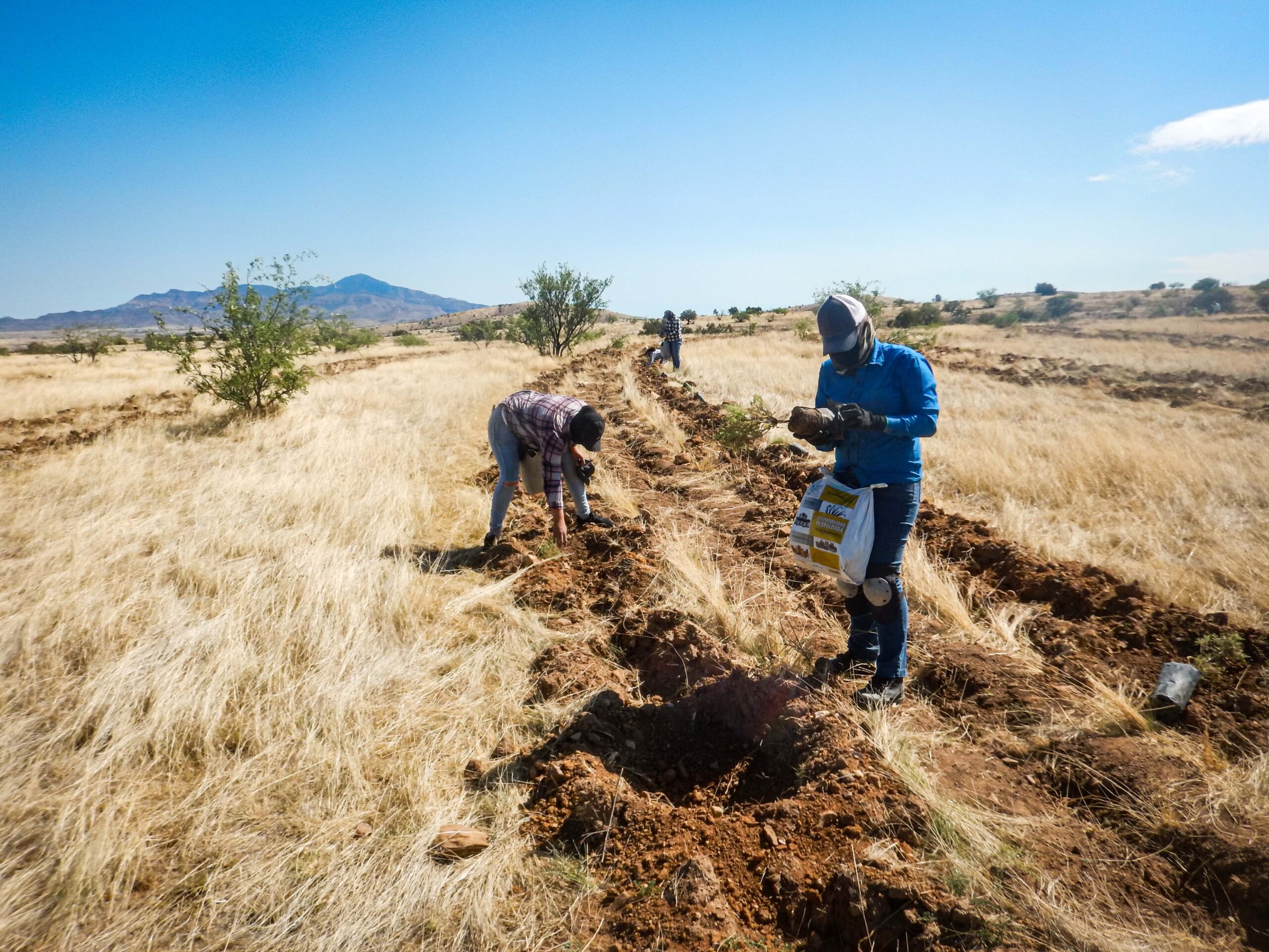 RestauracionTestimonios03