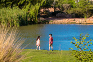 Parque Tamosura